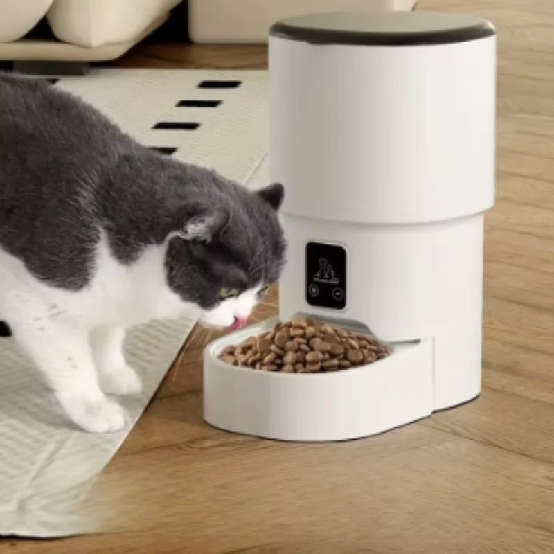 New 4L Button/WIFI Automatic Pet Feeder Smart Intelligent Cat And Dog Food Dispenser for Cats And Dogs - Tech For Pets