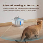 Smart Wireless Cat Water Fountain 4000mAh Rechargeable Battery Sensor Stainless Steel Automatic Pet water Dispenser with Filter - Tech For Pets